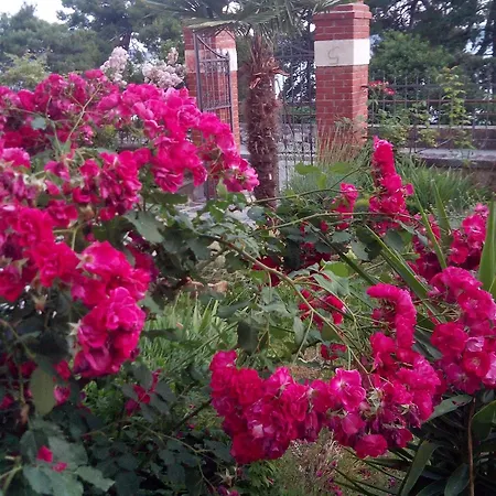 By The Sea - 11686 * 자다르