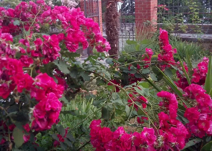 By The Sea - 11686 * Zadar